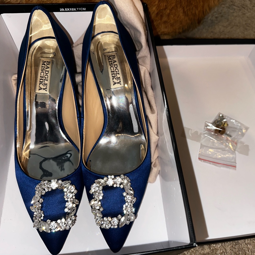 Badgley Mischka collection carrie crystal embellished pumps.